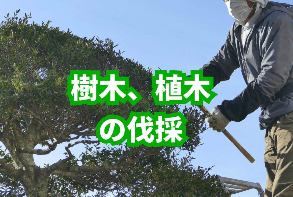 樹木、植木の伐採