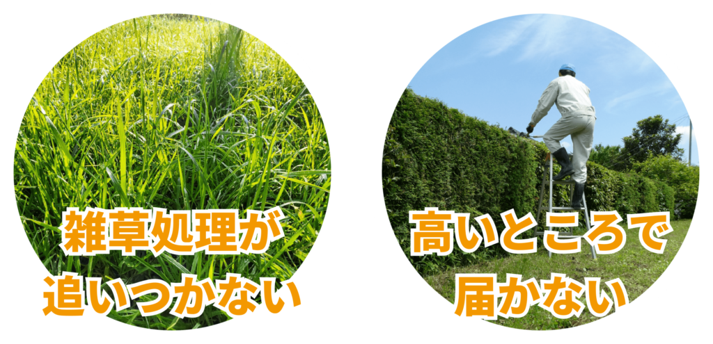 雑草処理が追いつかない 高いところで届かない