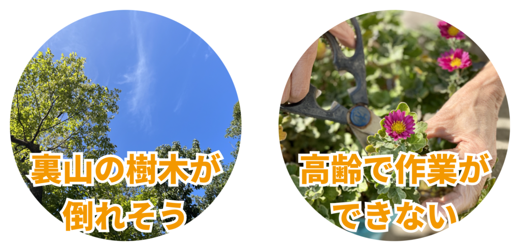 裏山の樹木が倒れそう高齢で作業ができない