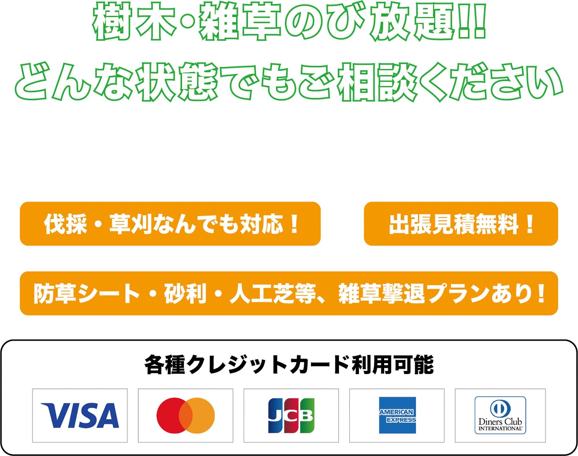 樹木、雑草伸び放題！！ どんな状態でもご相談ください。 雑草、草刈りなんでも対応します。 出張見積もり無料！ 防草シート、砂利、人工芝等、雑草撃退プランあり！ 各種クレジットカード利用可能